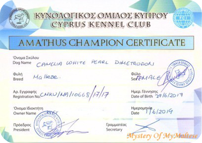Amathus Champion_01062019