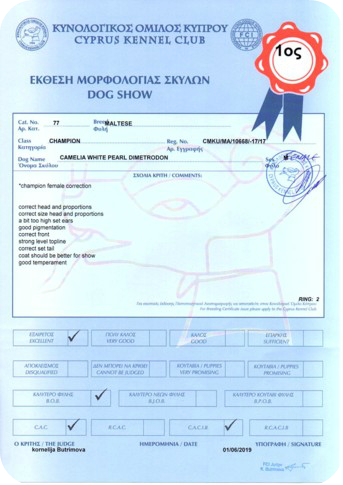 Camelia_White_Pearl_Certificate_31052019