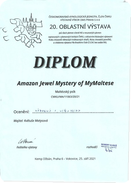 Diploma_Amazon_25092021