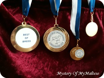 Medals_Cyprus_2019